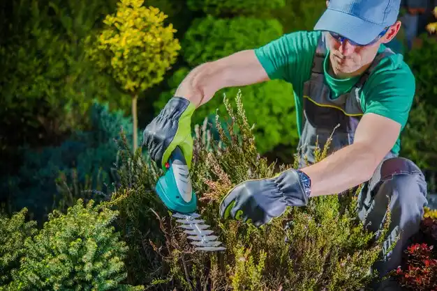 landscaping services Norco